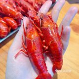 🦞 温州烧烤天花板开到万达了！