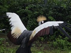 -上方山森林动物世界