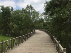 -蒲河岛湿地公园