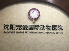 -宠爱国际动物医院· 猫科· 外科·中兽医(长白店)