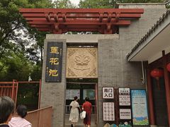 -莲花池公园