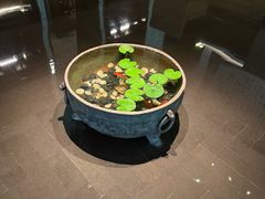 -曲水兰亭(北京四惠店)