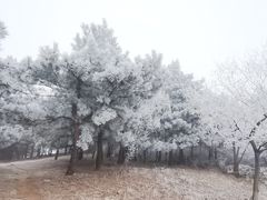 -阳台山自然风景区