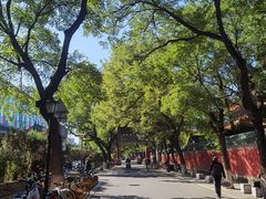 -北京国子监胡同