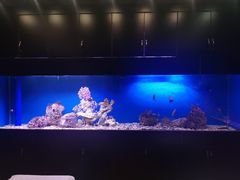 -避尘 Bsense·SPA(新会展总店)