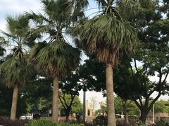 -蓝天清水湾国际大酒店