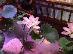 -韵秋荷(宝山龙湖天街店)