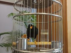 -杭州香格里拉·香宫中餐厅