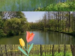 -溱湖国家湿地公园