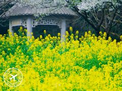 -苏州上方山国家森林公园