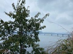-小团圆灶台鱼·百城头牌菜(千岛湖店)