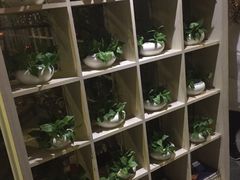 -正清和·推拿养生(黑石礁中心店)