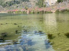 -靖西鹅泉风景区