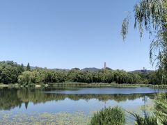 -北坞公园