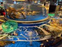 -上和臻品中国菜(花园街店)