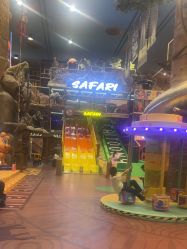 -卡通尼·Safari非洲探索乐园·生日会(金桥国际商业广场店)