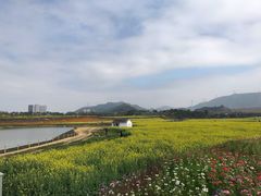 -光明小镇欢乐田园