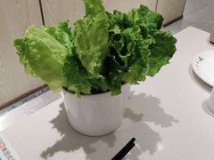 -古乐牛香·鲜牛肉牛杂火锅(新区店)