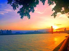 -光明港公园