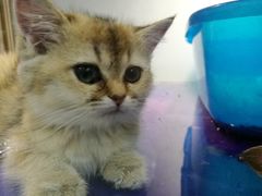 -乐宠宠物店(世纪金源店)