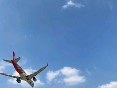 -空港花田景区