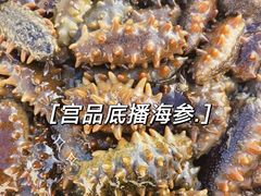-宫品海参专卖店(静安大宁店)