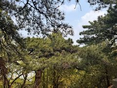 -北京鹫峰国家森林公园