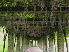 -龙寺生态园
