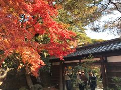 -京都御所