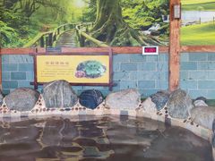 -华山御温泉度假村