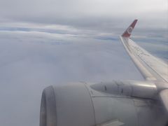 -老五鸡丝豆花面粉(瑞金北路68号院店)