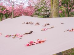 -风云岭森林公园