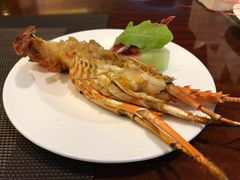 龙虾-索菲特西湖大酒店·香榭丽全日候餐厅(南山路店)