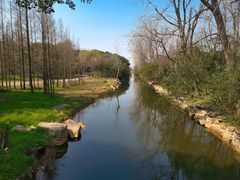 -上海滨江森林公园