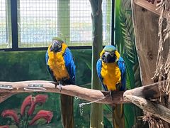 -海合安武汉极地海洋公园