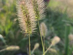 -苏州青少年科技馆