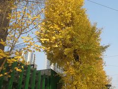 -两江幸福广场