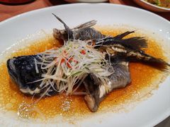 -船歌·鱼水饺青岛菜(闽江二路店)
