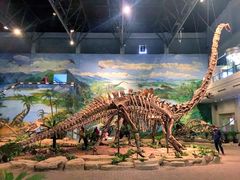 -自贡恐龙博物馆