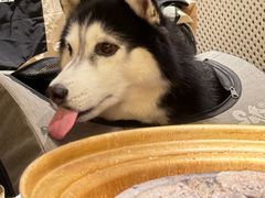 -瑞虹新天地月亮湾