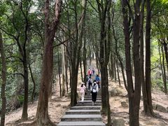-火炉山森林公园