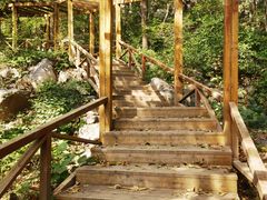 -大岭沟猕猴桃谷风景区