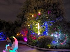 -南昌之星游乐场