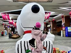 -哈尔滨热雪奇迹