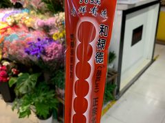 -和禄德冰糖葫芦