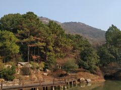 -宝岩生态观光园