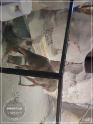 -酷嗒动物文化乐园(cutezoo西溪乐天城店)