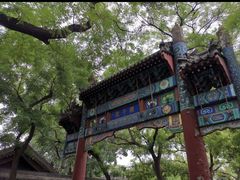 -北京国子监胡同