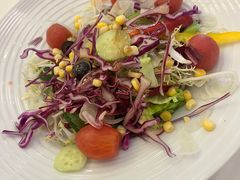 健康花园蔬菜沙拉-莫斯科餐厅