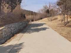 -北京西山国家森林公园